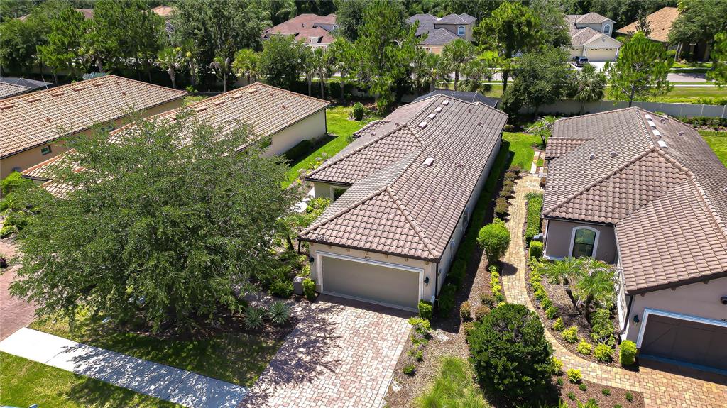 An aerial view shows suburban houses with tiled roofs, driveways, and surrounding landscaping — 8433 ALBERATA VISTA DRIVE, TAMPA, FL
