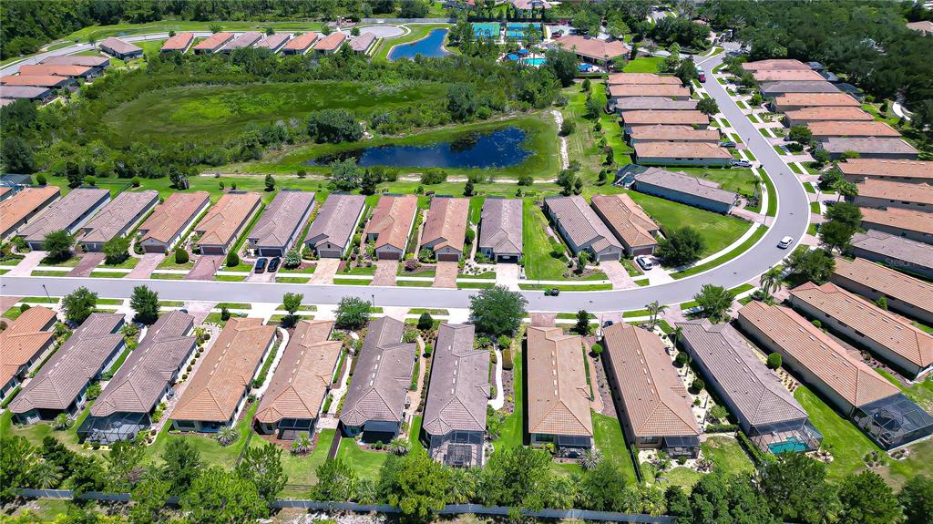 An aerial view shows a suburban neighborhood with rows of houses and a central pond — 8433 ALBERATA VISTA DRIVE, TAMPA, FL