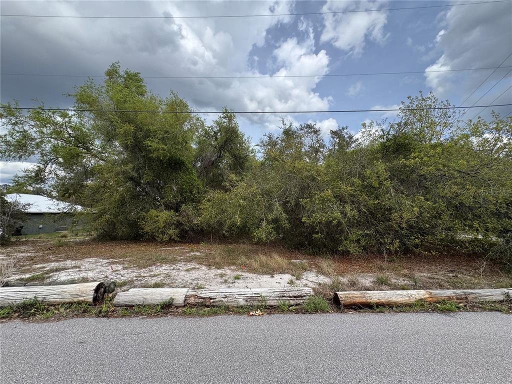 A vacant, overgrown lot with sandy soil and wooden logs lining the paved road — CEDAR CIR, LAKE WALES, FL