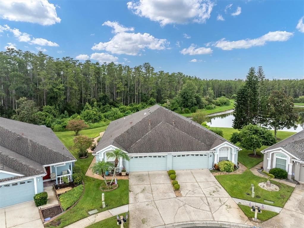 An aerial view shows a light blue duplex with a shared driveway and a pond — 19320 HASKELL PLACE, LAND O LAKES, FL