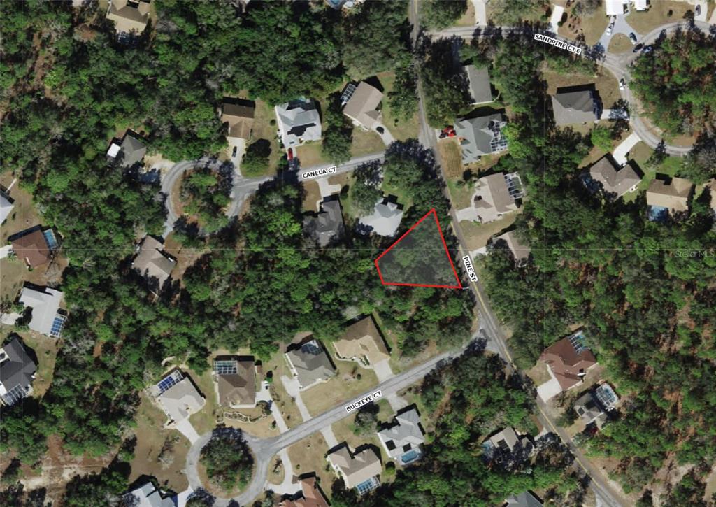 This is an aerial map showing a triangular vacant lot outlined in red along a street — 246 PINE STREET, HOMOSASSA, FL
