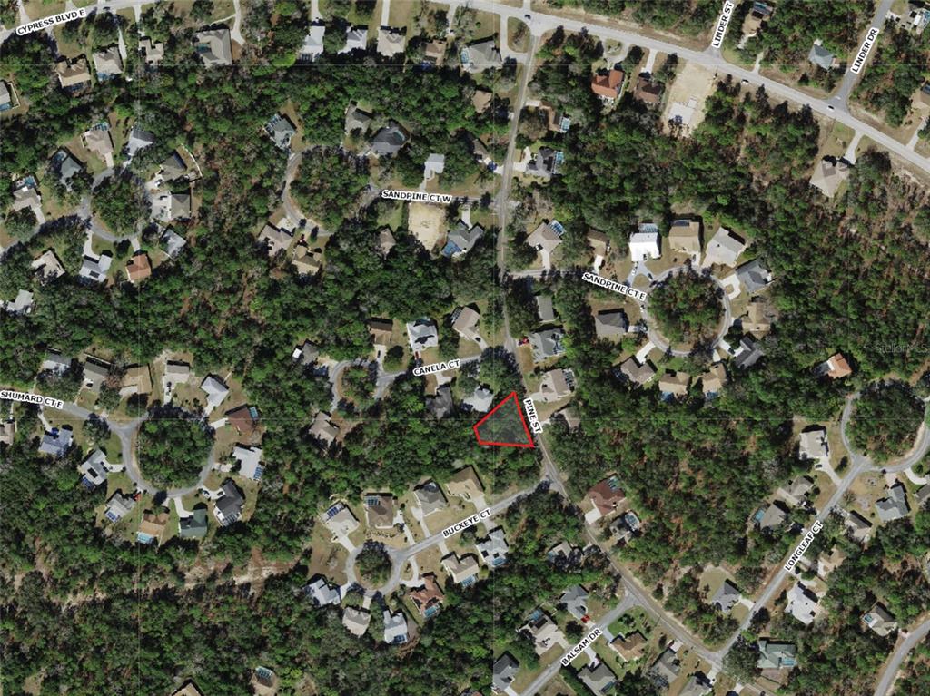 An aerial map view shows a triangular vacant lot highlighted in red along a residential street — 246 PINE STREET, HOMOSASSA, FL