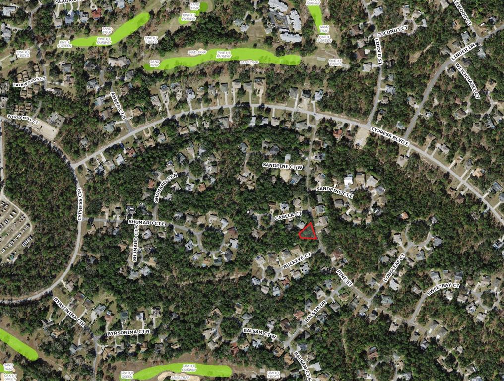 This is an aerial map showing a residential neighborhood with a highlighted vacant lot — 246 PINE STREET, HOMOSASSA, FL