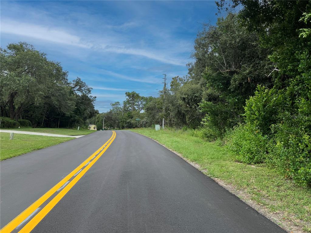 A paved road with double yellow lines curves through a wooded residential area — 246 PINE STREET, HOMOSASSA, FL