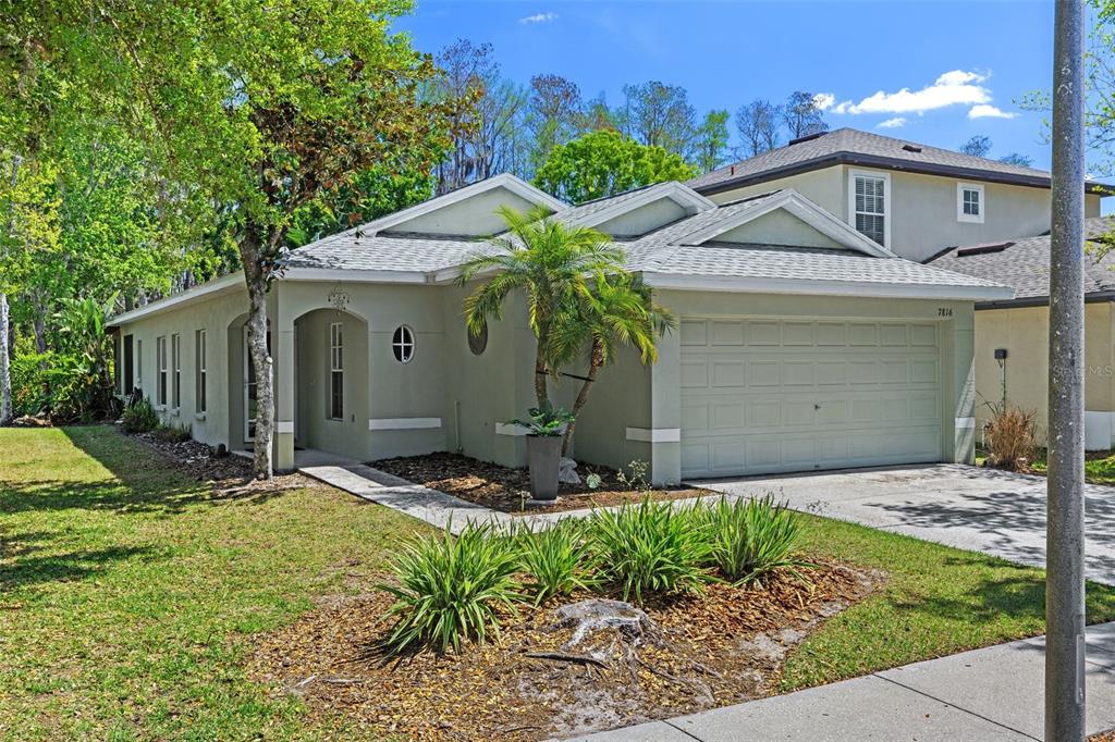 7816 CITRUS BLOSSOM DRIVE