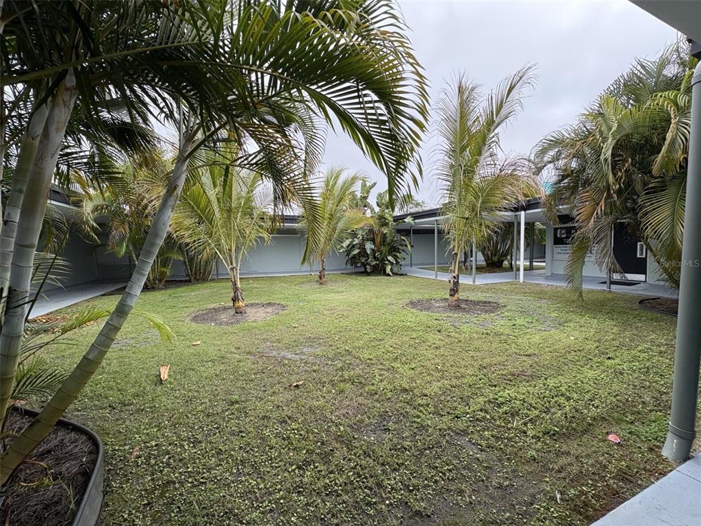 A grassy courtyard is surrounded by a covered walkway and several palm trees — 1201 S HIGHLAND AVENUE UNIT 7, CLEARWATER, FL
