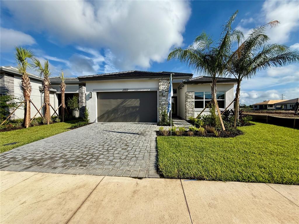 A single-story house with a stone facade, a paved driveway, and palm trees in the yard — 32523 NEROLI STREET, WESLEY CHAPEL, FL