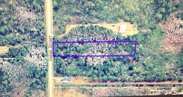 An aerial view shows a rectangular plot of land outlined in purple next to a road — 580 Sabal Street, Orlando FL 32833, ORLANDO, FL