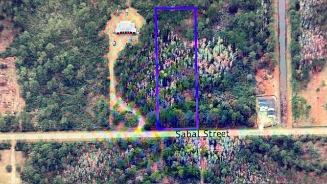 An aerial view shows a rectangular plot of land outlined in purple along Sabal Street — 580 Sabal Street, Orlando FL 32833, ORLANDO, FL