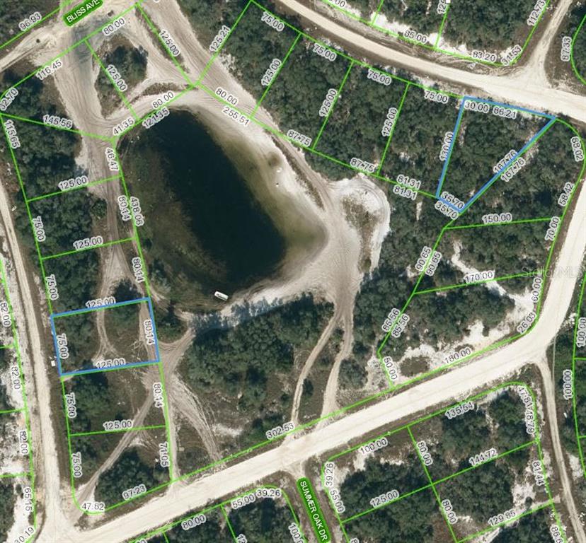 This is a satellite map showing residential lots surrounding a central pond — 214 RHYTHM DRIVE, LAKE PLACID, FL