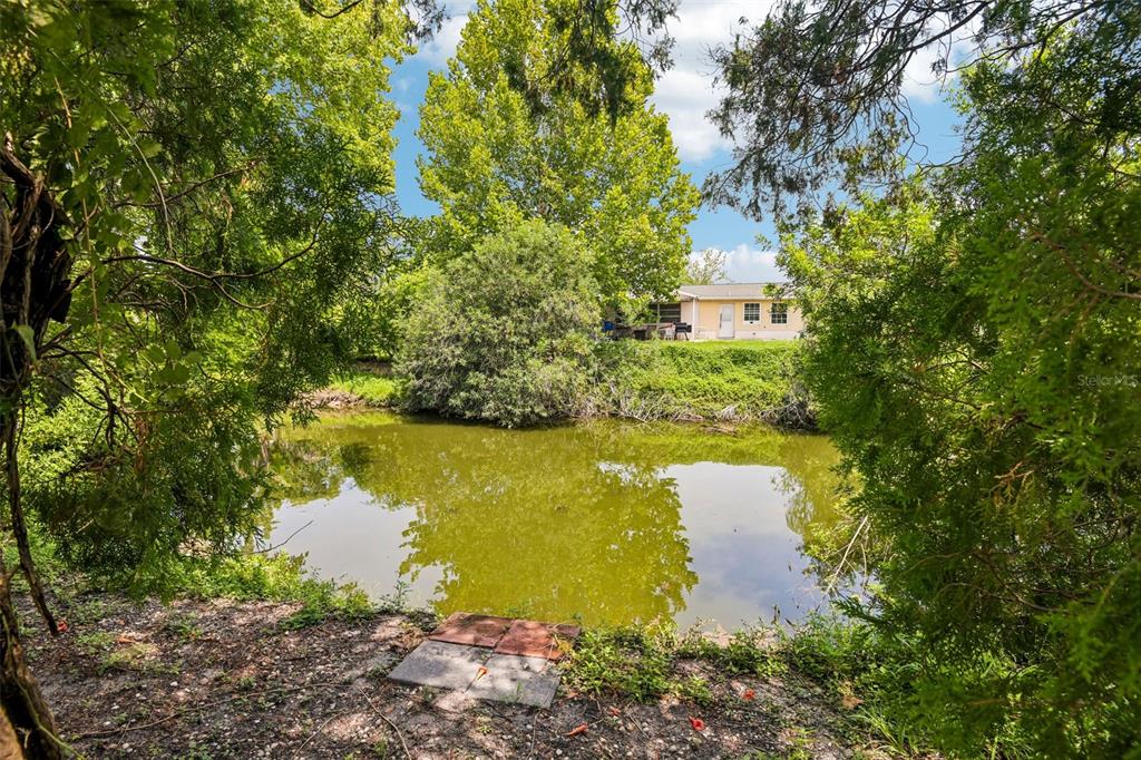 A view of a small pond framed by trees with a house in the background — 7303 HEATH DRIVE, PORT RICHEY, FL