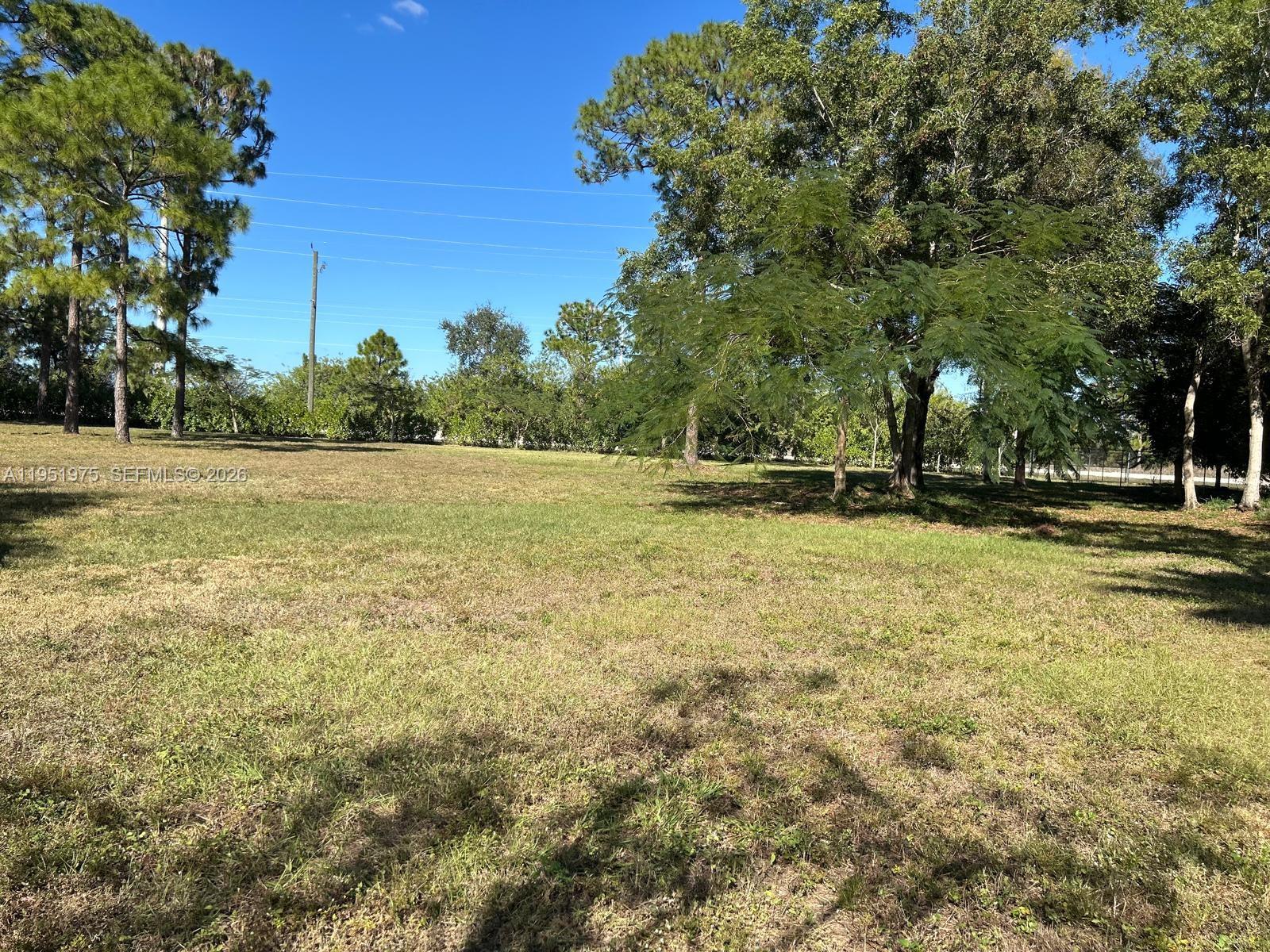 A large, grassy, undeveloped lot is surrounded by mature trees under a clear blue sky — 17970 50th St N, Loxahatchee FL 33470, LOXAHATCHEE, FL
