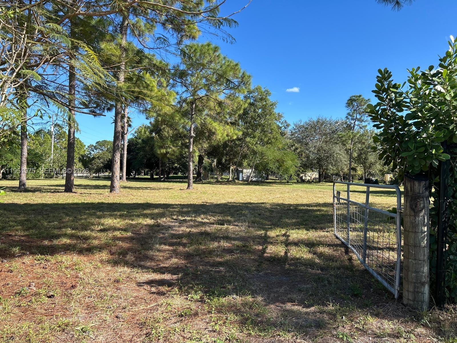 A grassy, open lot features scattered pine trees and a metal gate on the right — 17970 50th St N, Loxahatchee FL 33470, LOXAHATCHEE, FL