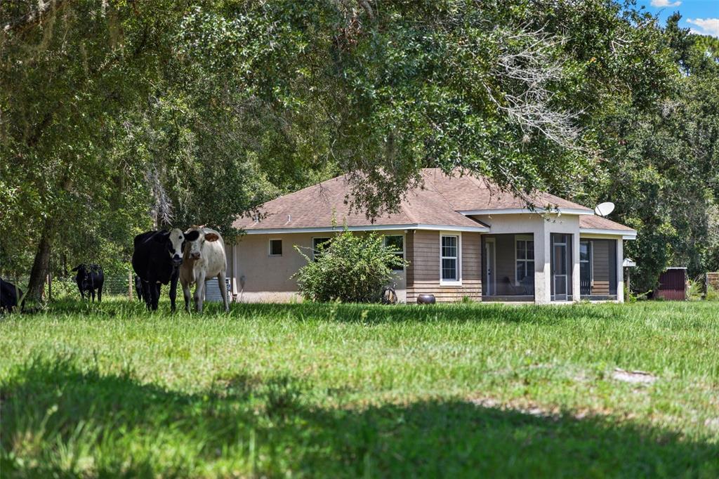 14765 US HIGHWAY 41, SPRING HILL, FL — photo 2 of 30