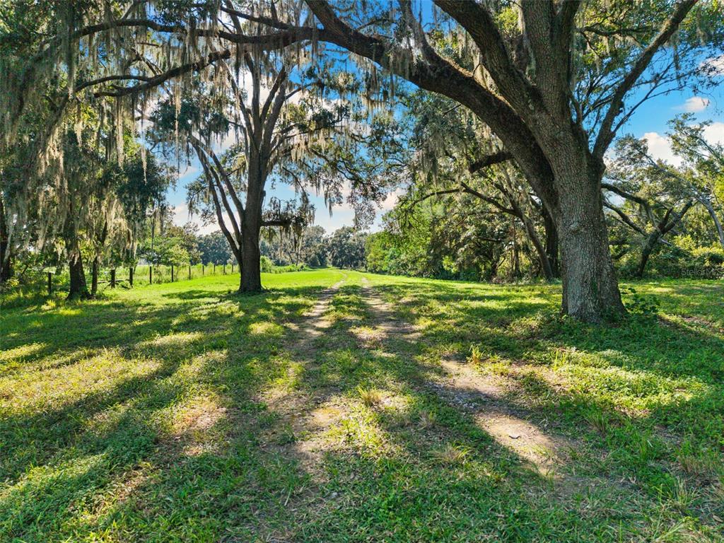 14765 US HIGHWAY 41, SPRING HILL, FL — photo 3 of 30