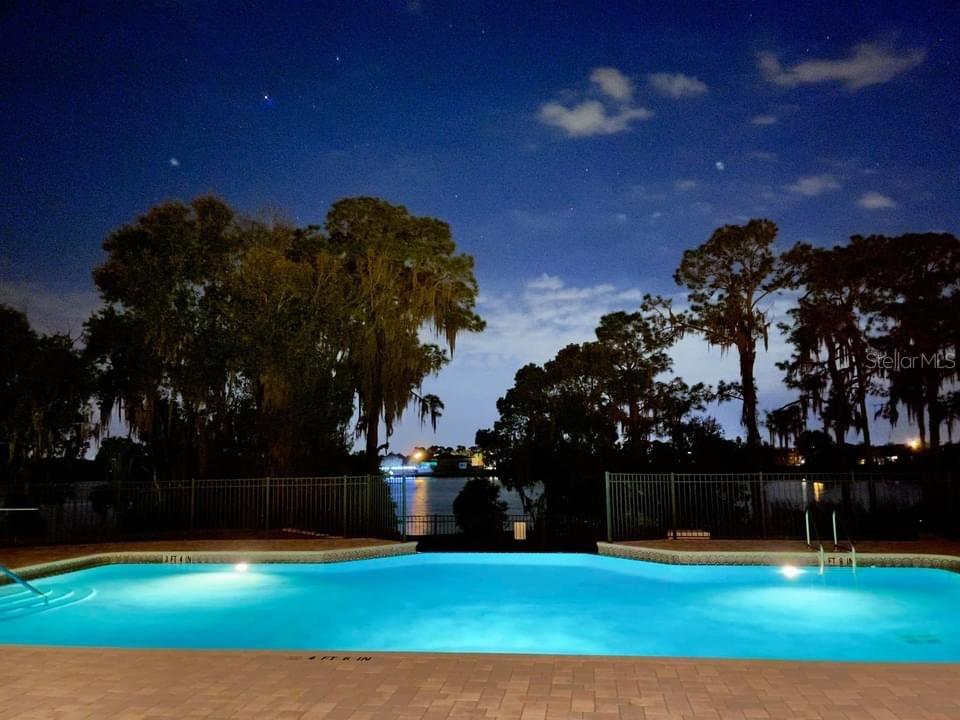 A swimming pool at night overlooks a lake surrounded by trees under a starry sky — 714 MEANDERING WAY, POLK CITY, FL