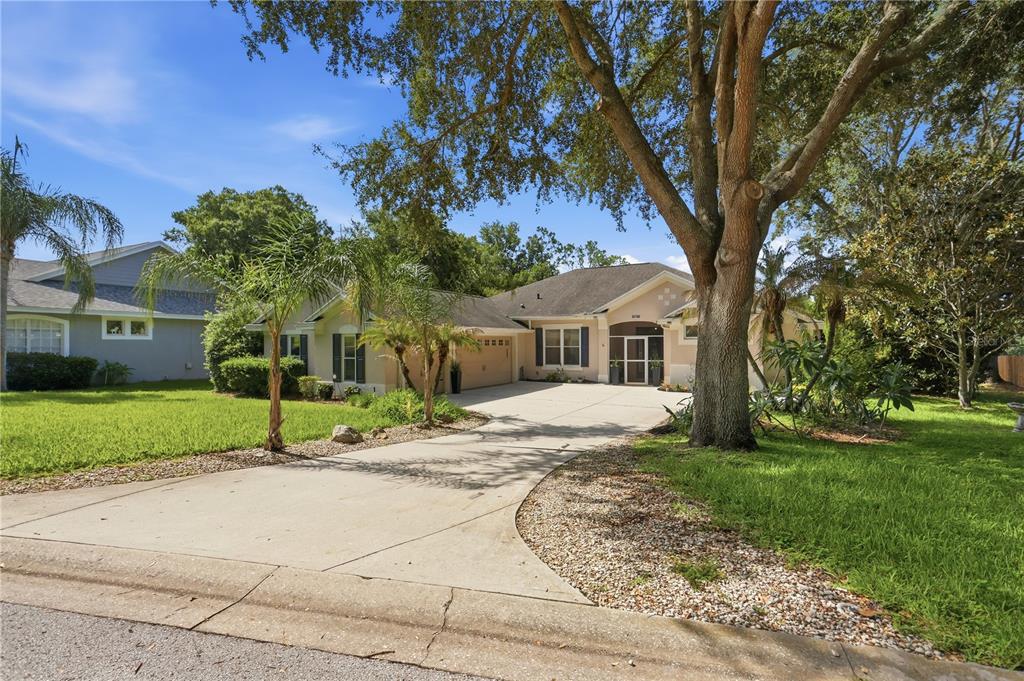 A single-story house with a concrete driveway, a large tree, and landscaping in the front yard — 13706 VIA ROMA CIRCLE, CLERMONT, FL
