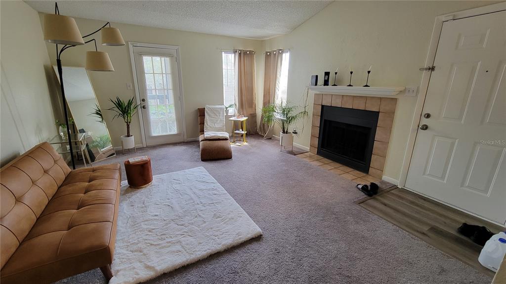 A living room features a fireplace, a brown sofa, a white rug, and a door — 4400 THORNBRIAR LANE UNIT 201, ORLANDO, FL