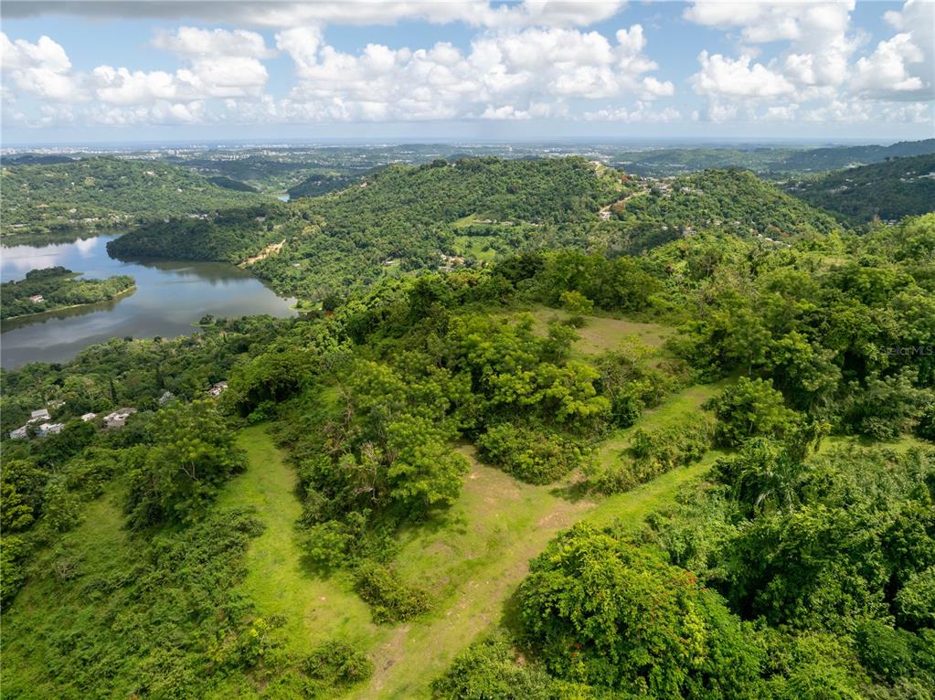An aerial view shows a grassy path winding through a lush, hilly landscape near water — arr 942 JAGUAS, GURABO, PR
