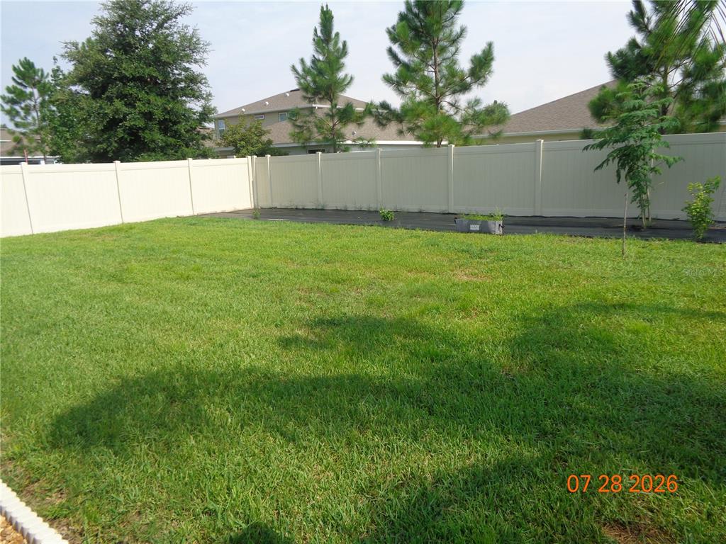 A grassy backyard features a tan vinyl privacy fence and a strip of landscape fabric — 2023 CANOPY TERRACE BOULEVARD, DELAND, FL