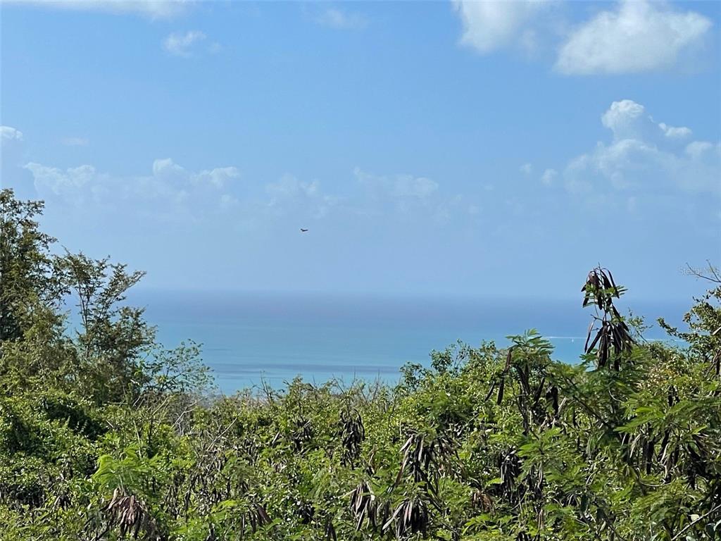 A view of the ocean and horizon seen over lush green trees and foliage — S LOMAS DE EXPRESO UNIT 44, SANTA ISABEL, PR