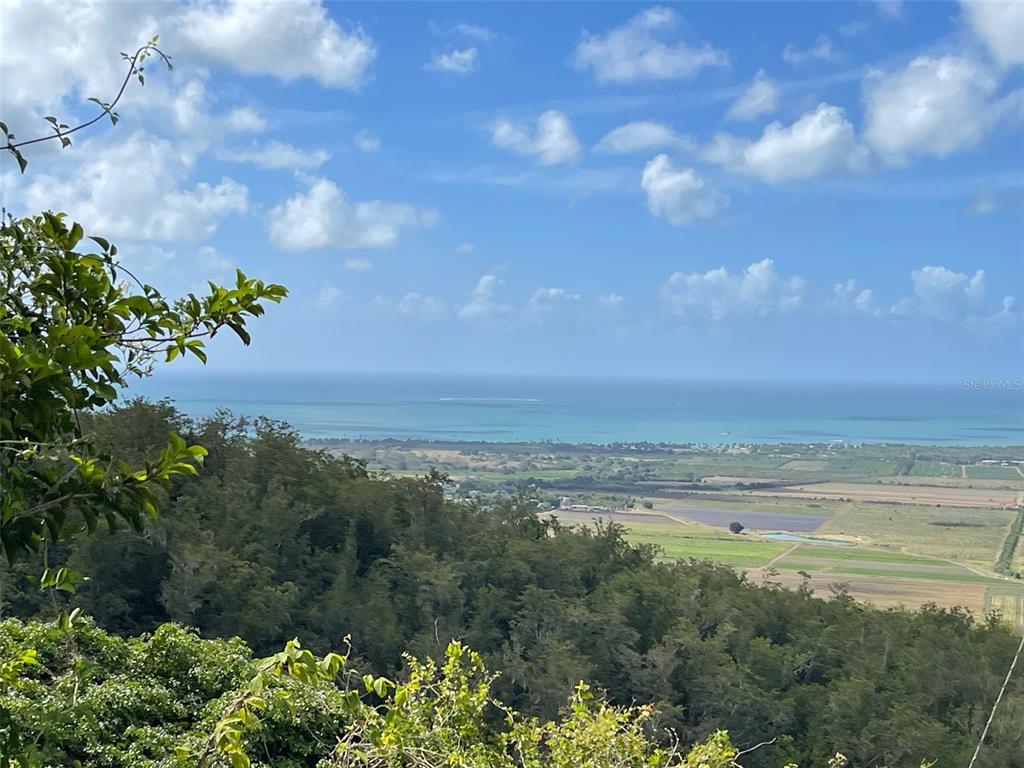 A high-angle view shows a coastal landscape with green trees, agricultural fields, and the ocean — S LOMAS DE EXPRESO UNIT 44, SANTA ISABEL, PR