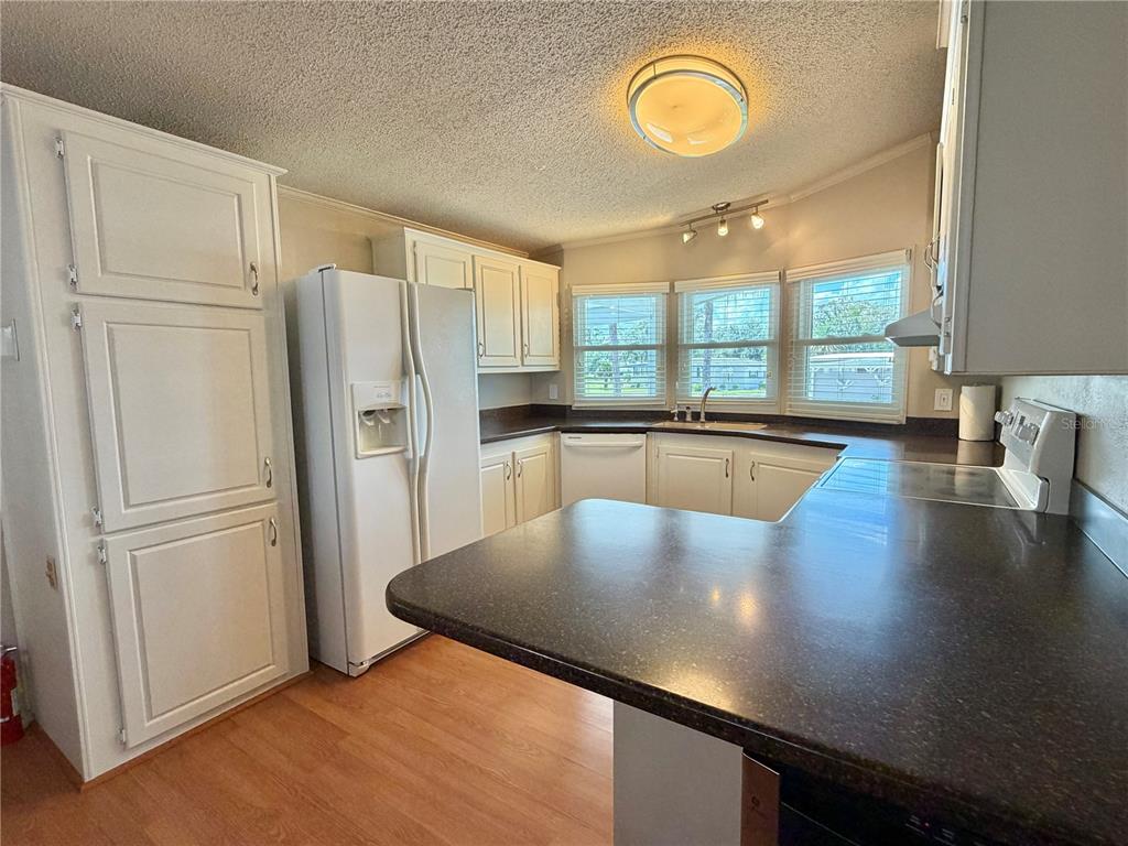 A kitchen features white cabinets, dark countertops, a white refrigerator, and wood-look flooring — 303 HAWTHORNE BOULEVARD, LEESBURG, FL