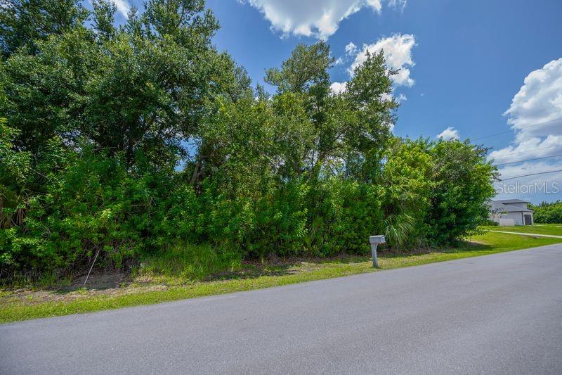 A paved road runs alongside a vacant, tree-covered lot with a single mailbox — 6304 TILLY STREET, ENGLEWOOD, FL