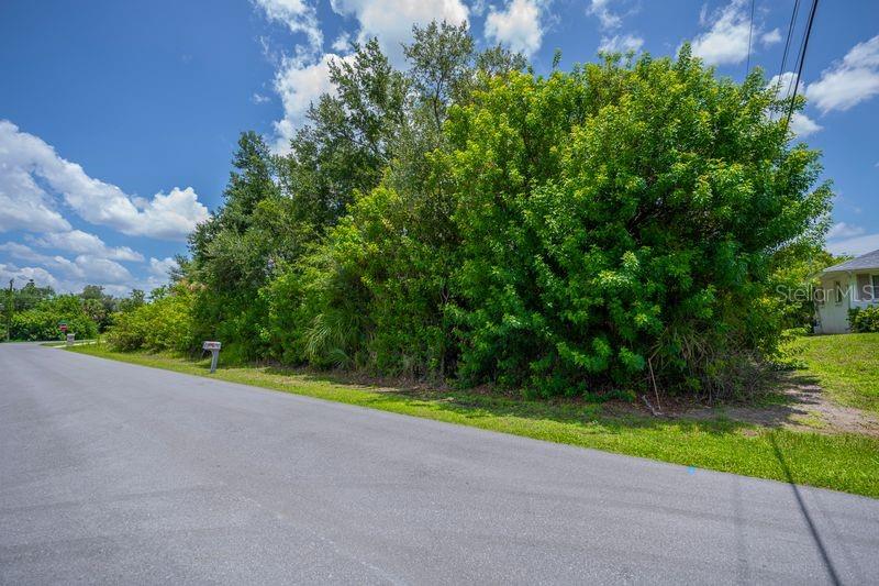 A paved road runs alongside a vacant, heavily wooded lot under a blue sky — 6304 TILLY STREET, ENGLEWOOD, FL