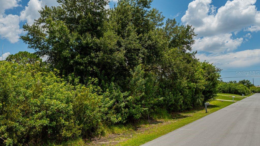 A paved road runs alongside a dense, overgrown lot filled with trees and shrubs — 6304 TILLY STREET, ENGLEWOOD, FL