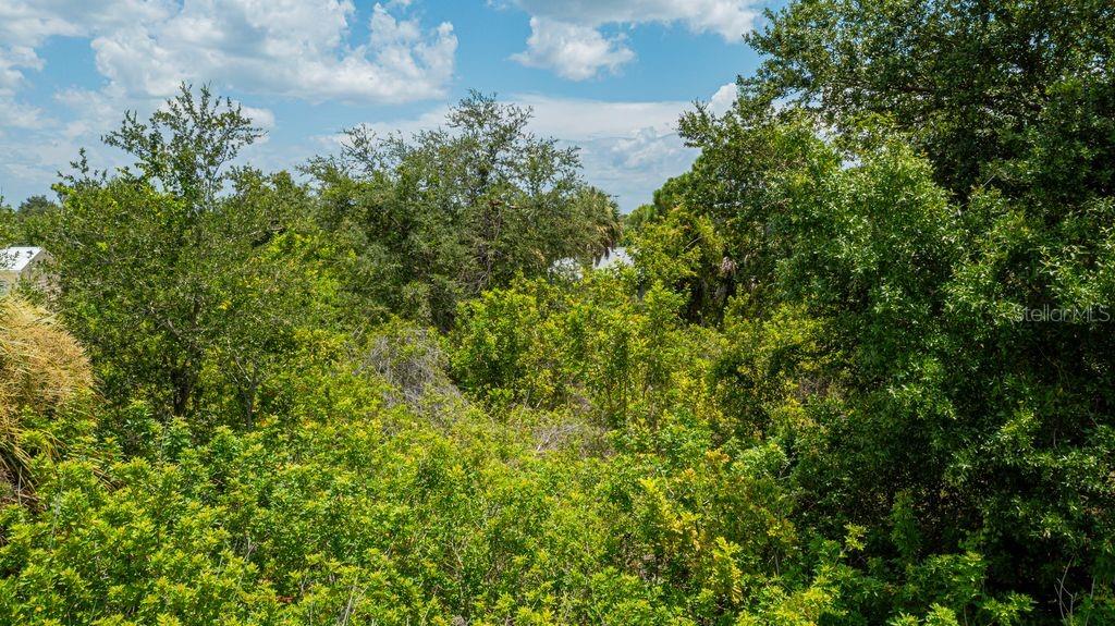 A dense, lush green forest fills the frame under a bright blue sky — 6304 TILLY STREET, ENGLEWOOD, FL
