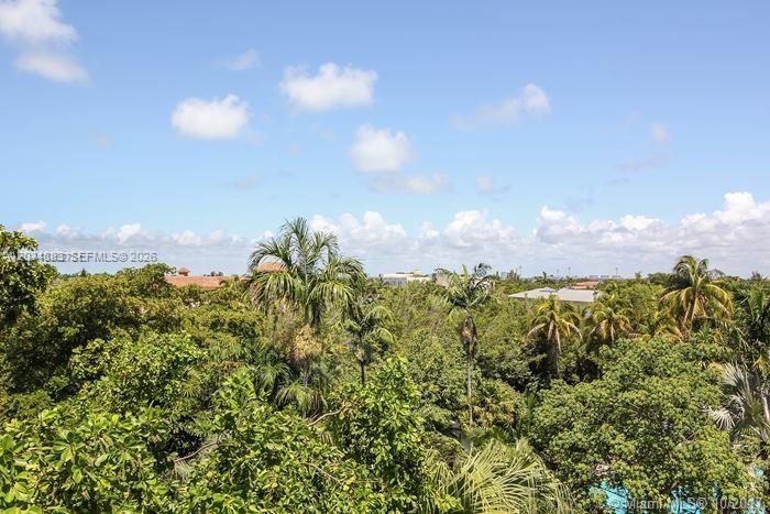 A high-angle view of a lush green canopy of trees under a blue sky — 101 Crandon Blvd # 474, Key Biscayne FL 33149, KEY BISCAYNE, FL