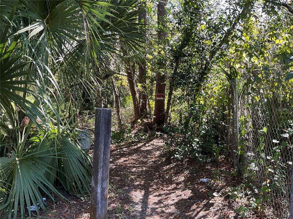 2330 E UNIVERSITY AVENUE, GAINESVILLE, FL — photo 2 of 30