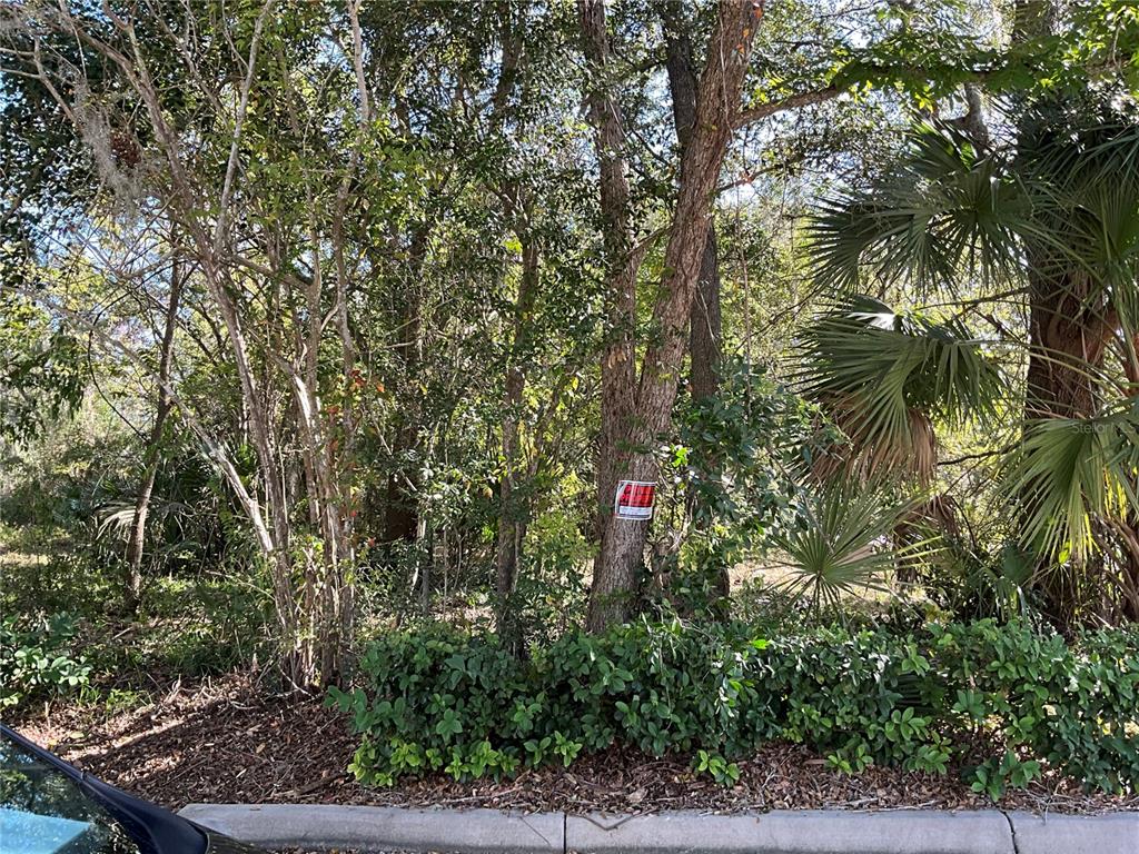 2330 E UNIVERSITY AVENUE, GAINESVILLE, FL — photo 3 of 30