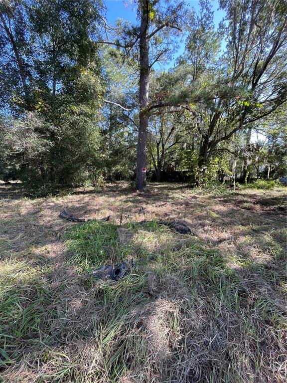 2330 E UNIVERSITY AVENUE, GAINESVILLE, FL — photo 4 of 30