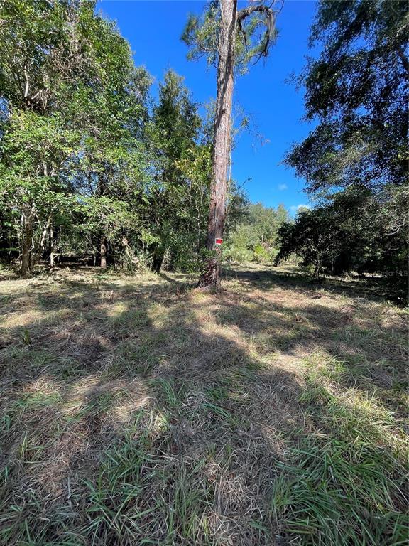 2330 E UNIVERSITY AVENUE, GAINESVILLE, FL — photo 5 of 30