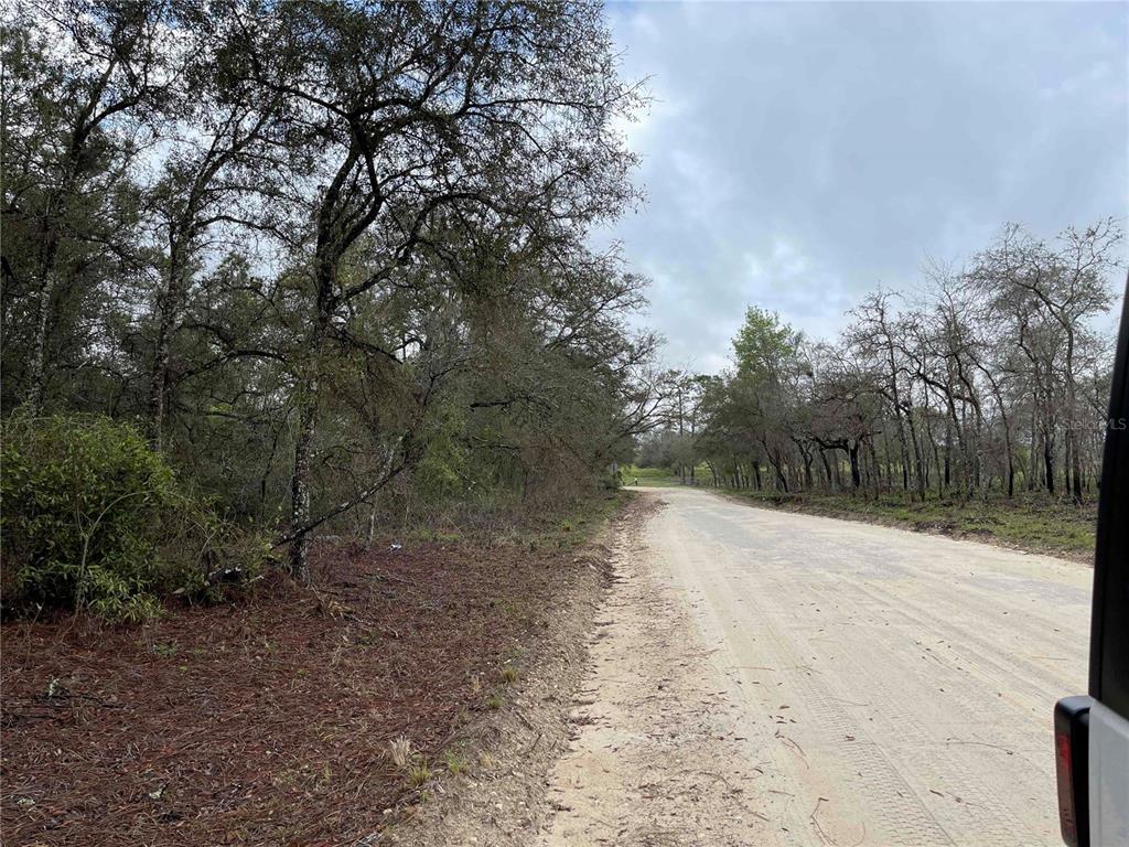 Lot 8 NE 120 AVENUE, WILLISTON, FL — photo 3 of 3