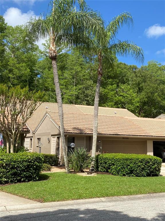 A single-story house with a tiled roof and two tall palm trees in front — 3134 WINDMOOR DRIVE N, PALM HARBOR, FL