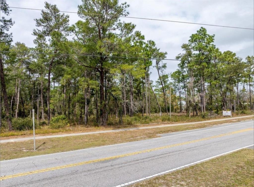 A view of a wooded, undeveloped lot located next to a paved two-lane road — 1370 COURTLAND BLVD, DELTONA, FL
