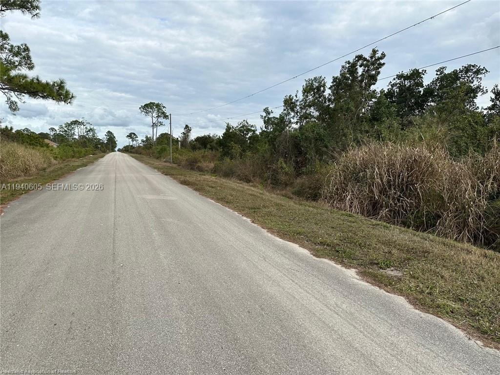 A paved road stretches into the distance bordered by dense vegetation and trees — 2301 S Avon Estates Blvd, Avon Park FL 33825, AVON PARK, FL
