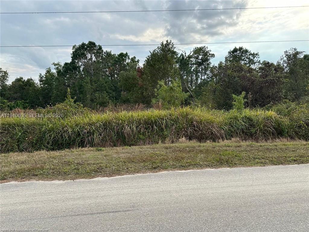 A vacant, overgrown lot sits behind a paved road under a cloudy sky — 2301 S Avon Estates Blvd, Avon Park FL 33825, AVON PARK, FL