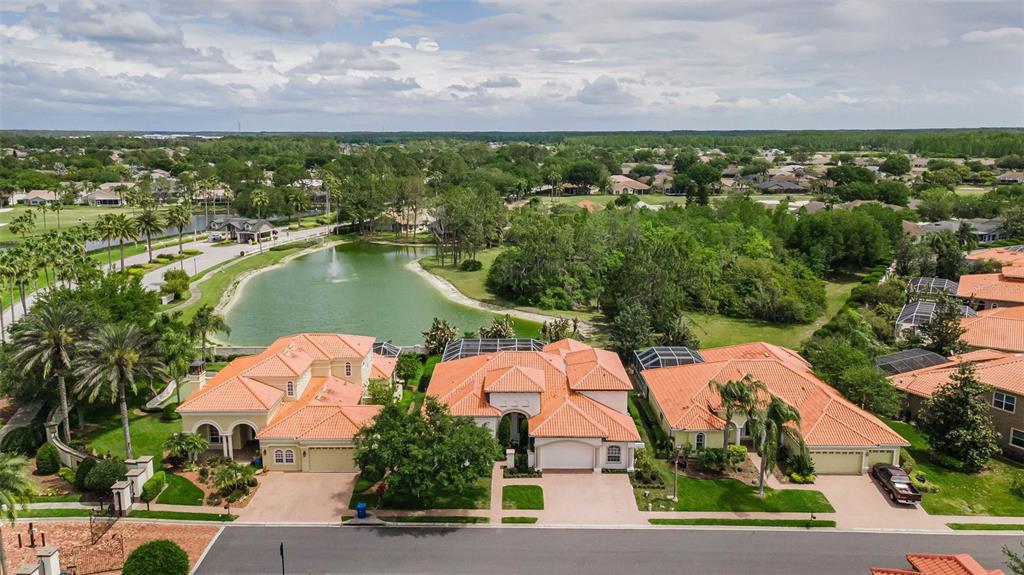 1246 TUSCANY DRIVE, TRINITY, FL — photo 5 of 30