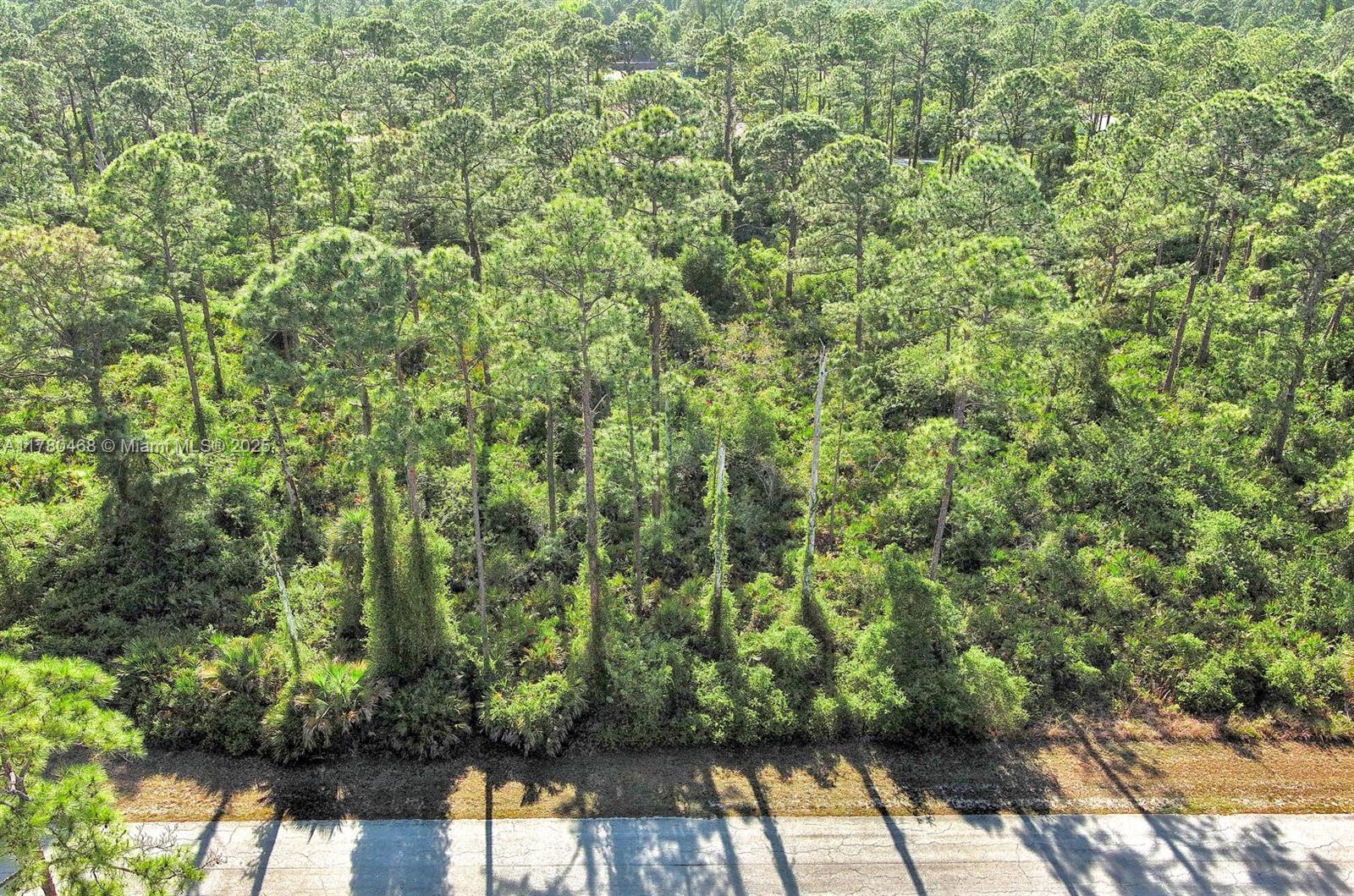 An aerial view shows a paved road bordering a dense forest of pine trees — 2019 COLUMBUS AVE, Lehigh Acres FL 33920, LEHIGH ACRES, FL