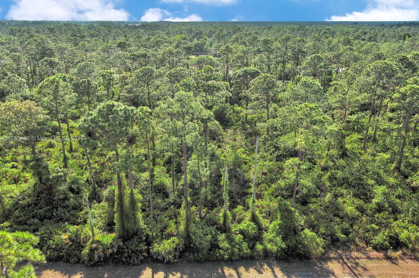 An aerial view shows a dense forest of pine trees under a bright blue sky — 2019 COLUMBUS AVE, Lehigh Acres FL 33920, LEHIGH ACRES, FL