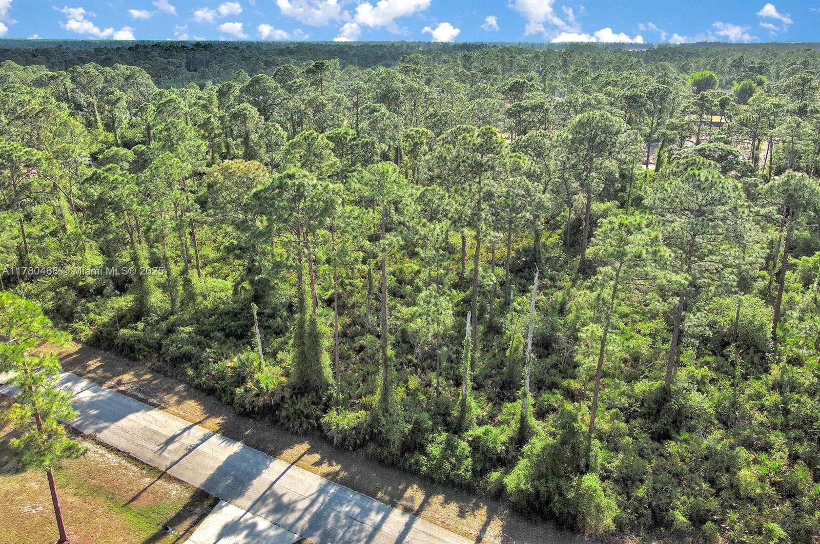 An aerial view shows a paved road bordering a dense, wooded forest area — 2019 COLUMBUS AVE, Lehigh Acres FL 33920, LEHIGH ACRES, FL
