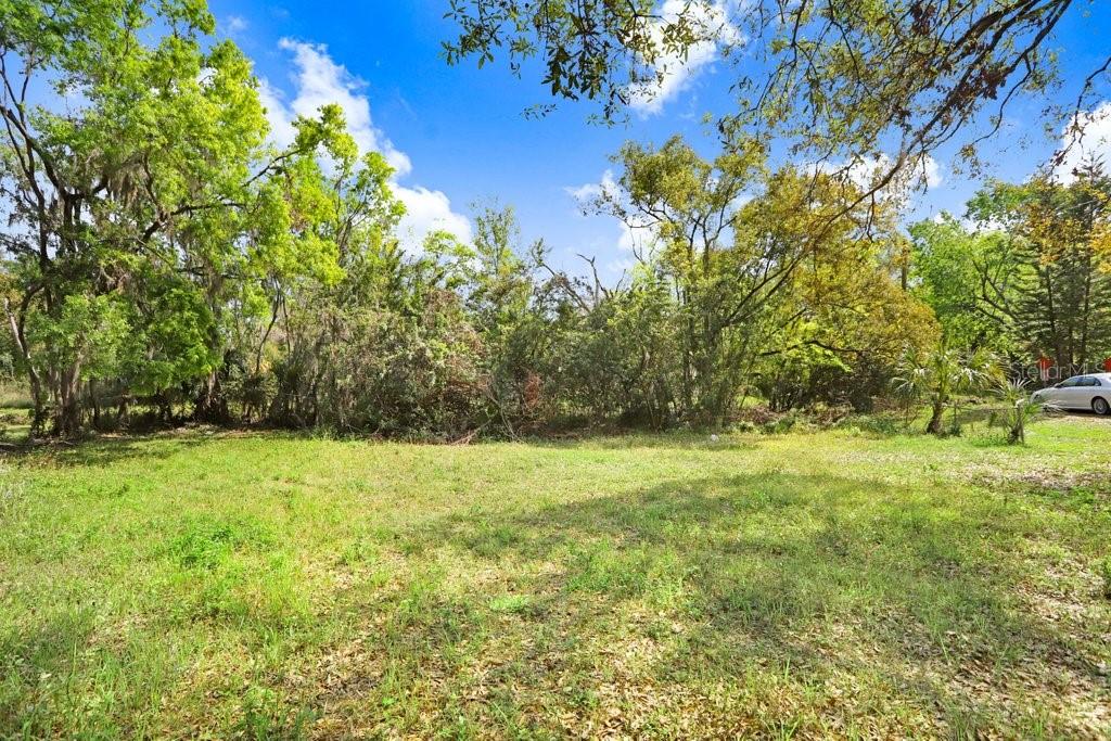 A grassy, open lot is bordered by a dense line of mature trees and foliage — 710 E OHIO STREET, PLANT CITY, FL