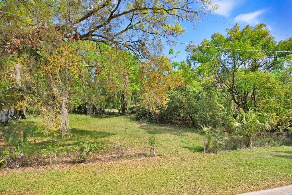 A grassy, fenced-in vacant lot is surrounded by mature trees and dense vegetation — 710 E OHIO STREET, PLANT CITY, FL
