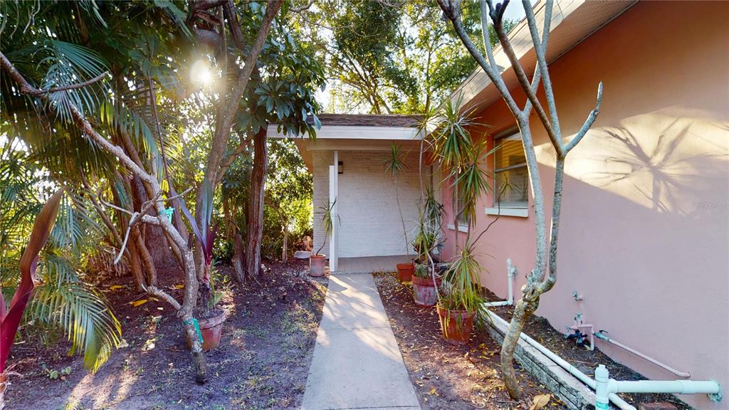 A concrete walkway leads to a covered entryway beside a pink exterior wall and plants — 1546 BELLEAIR ROAD, CLEARWATER, FL