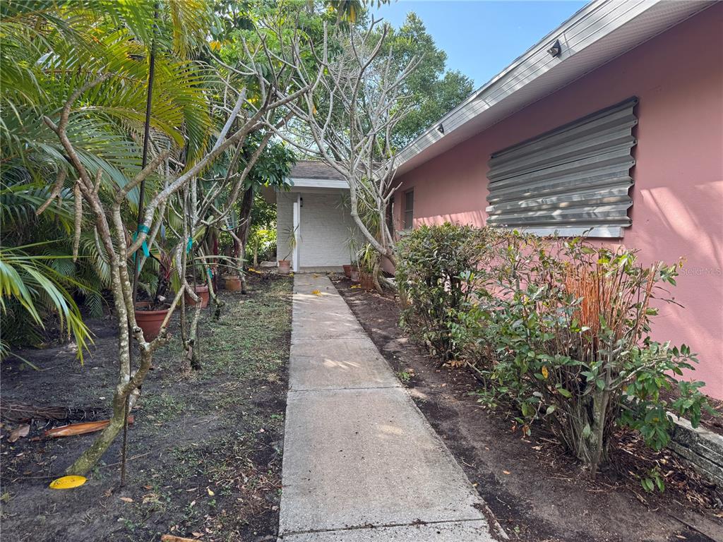 A concrete walkway leads toward a white brick entrance alongside a pink exterior wall — 1546 BELLEAIR ROAD, CLEARWATER, FL