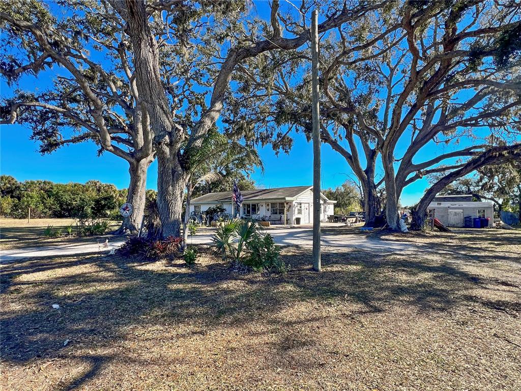 A single-story house sits behind large oak trees on a rural, grassy lot — 2519 MOCCASIN WALLOW ROAD, PALMETTO, FL
